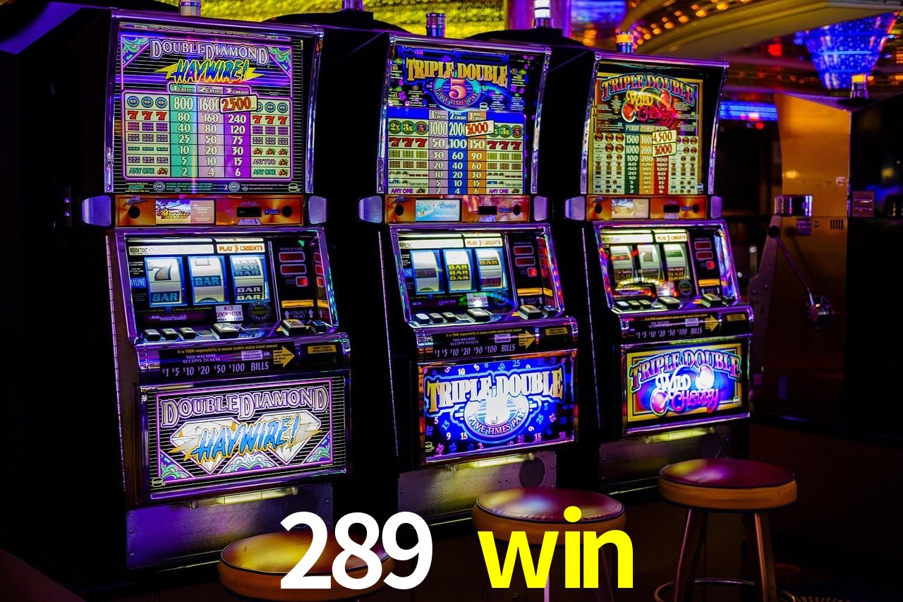 Programa VIP 289 win