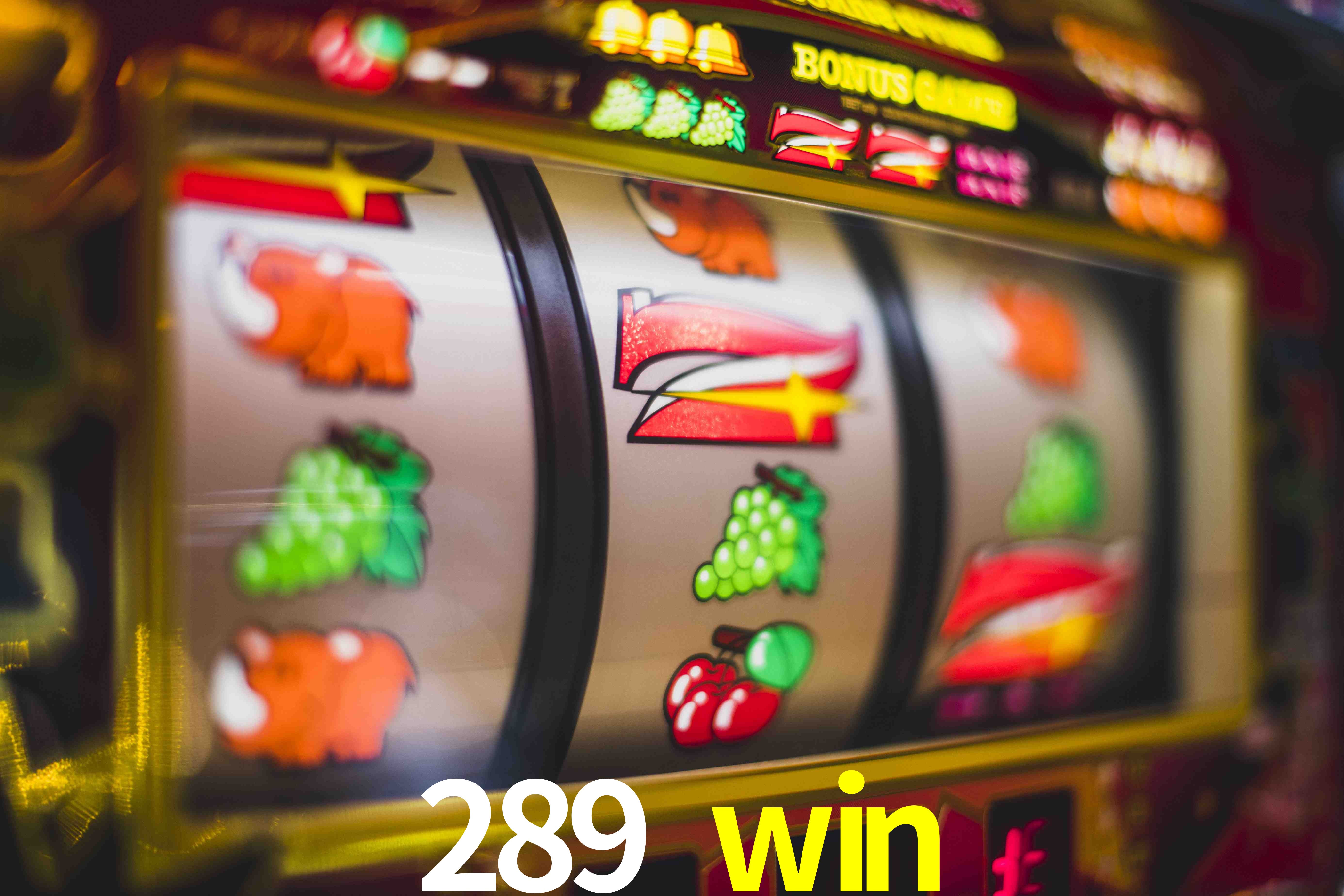 Football Betting 289 win